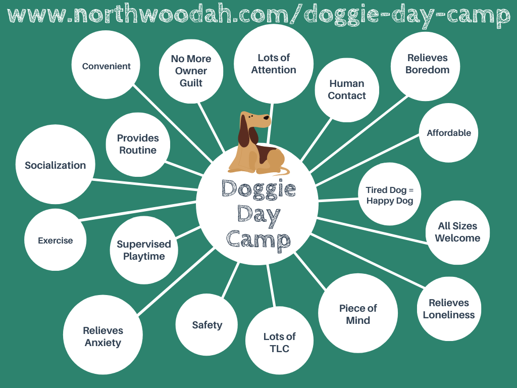 DDC Dog Bubble Image